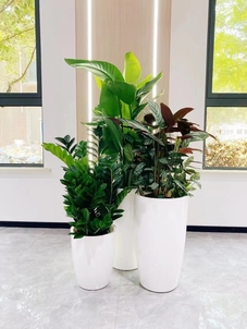 镇海绿化养护公司，打造城市生态好环境